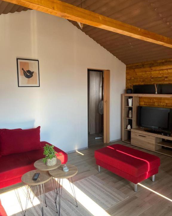 Photo of Livingroom in Central Serbia