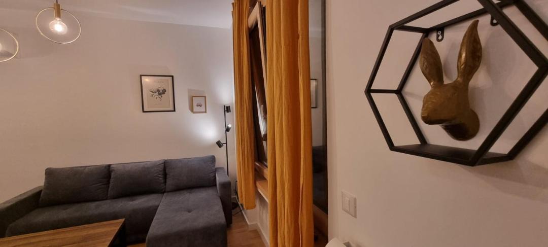 Photo of Livingroom in Vracar