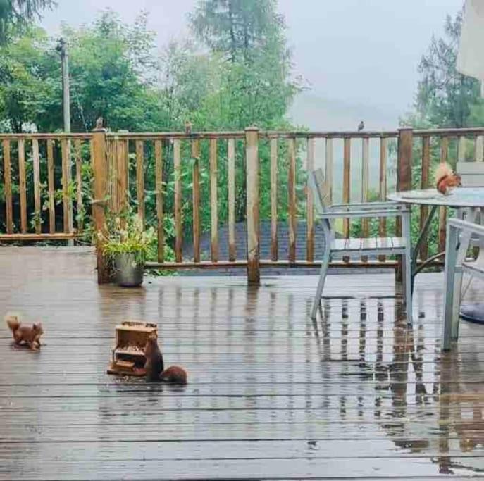 Photo of Others in Tyndrum
