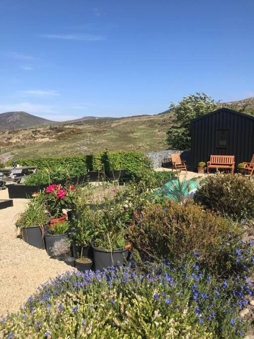 Photo of Outdoor in Newry