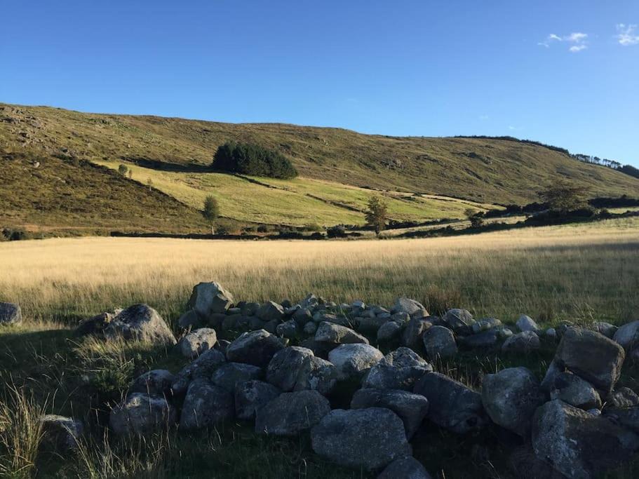 Photo of Outdoor in Newry
