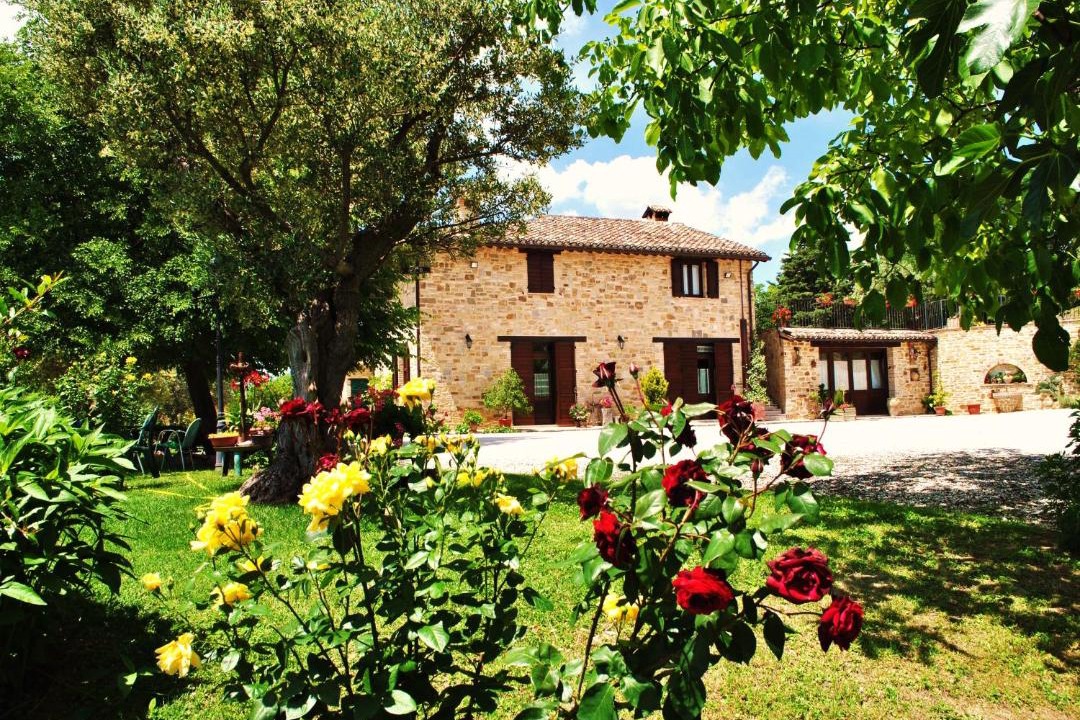 Photo of Others in San Severino Marche