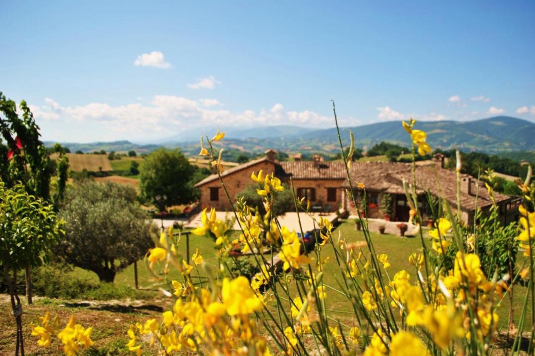 Photo of Others in San Severino Marche