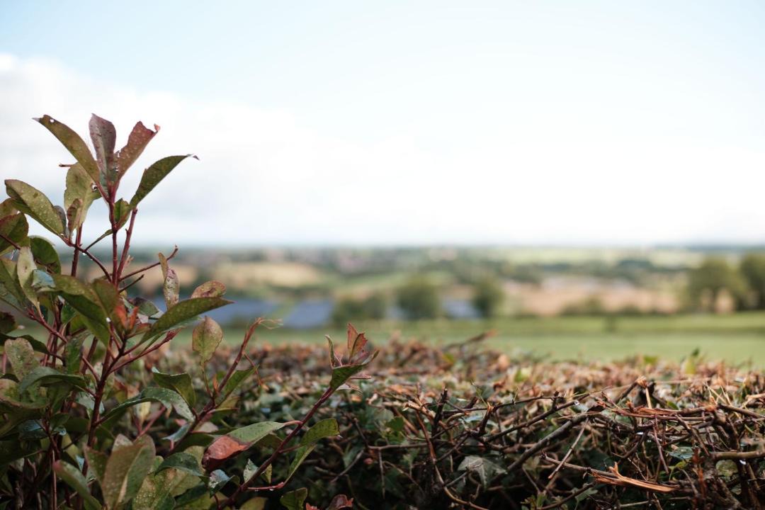 Photo of Outdoor in Dromore