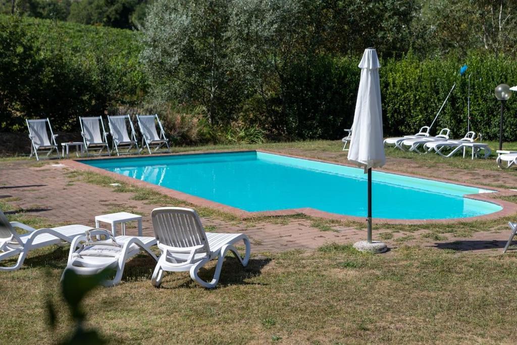 Photo of Others in Greve in Chianti