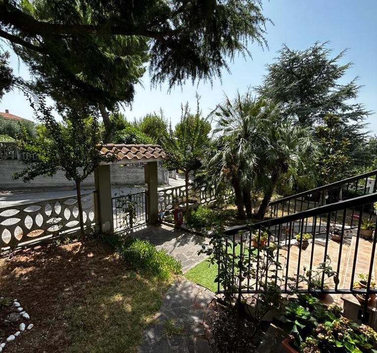 Photo of Others in Falconara Marittima