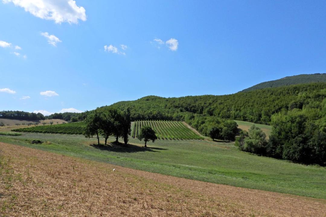 Photo of Others in Vestignano