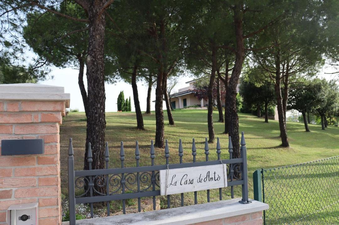 Photo of Others in Rapagnano