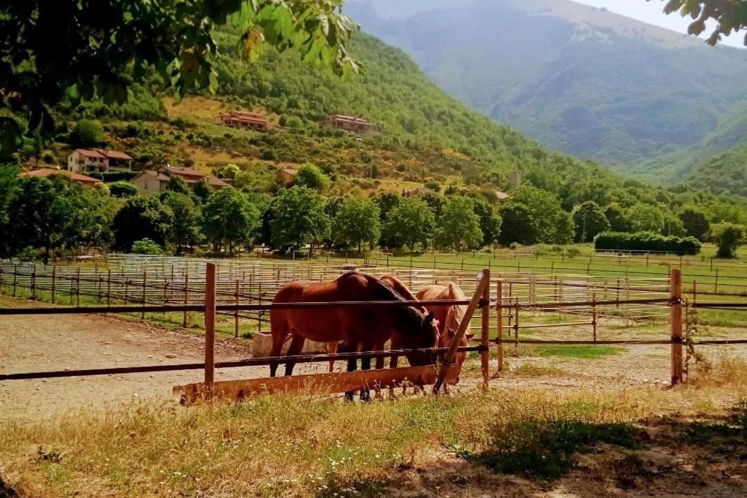 Photo of Others in Chiaserna