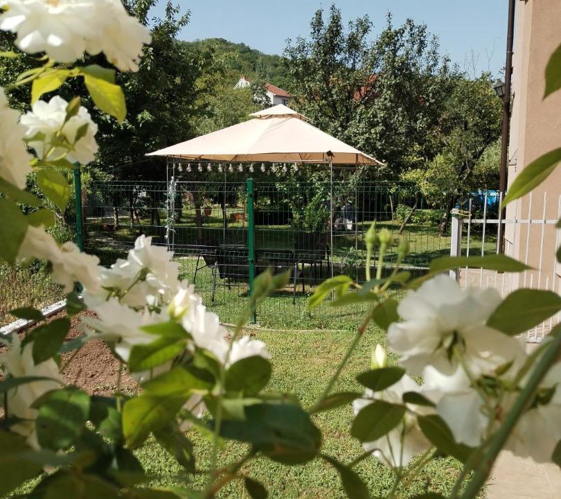 Photo of Outdoor in Niska Banja