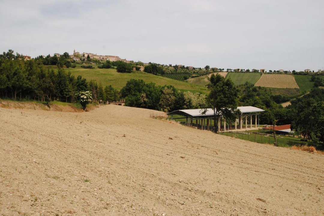 Photo of Others in Monte Rinaldo