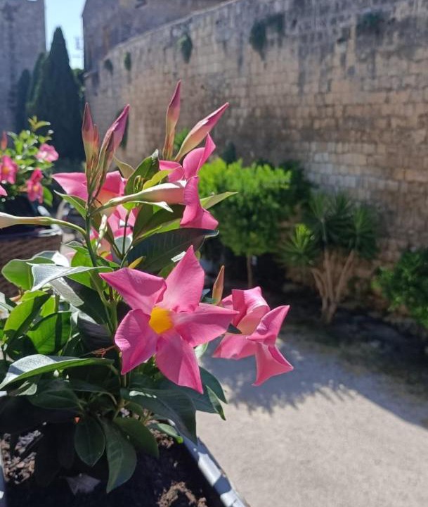 Photo of Others in Tarquinia
