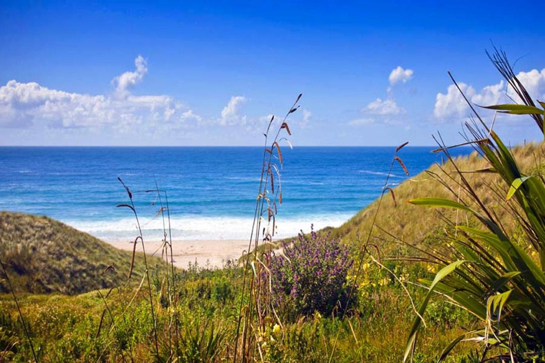 Photo of Others in Sennen Cove