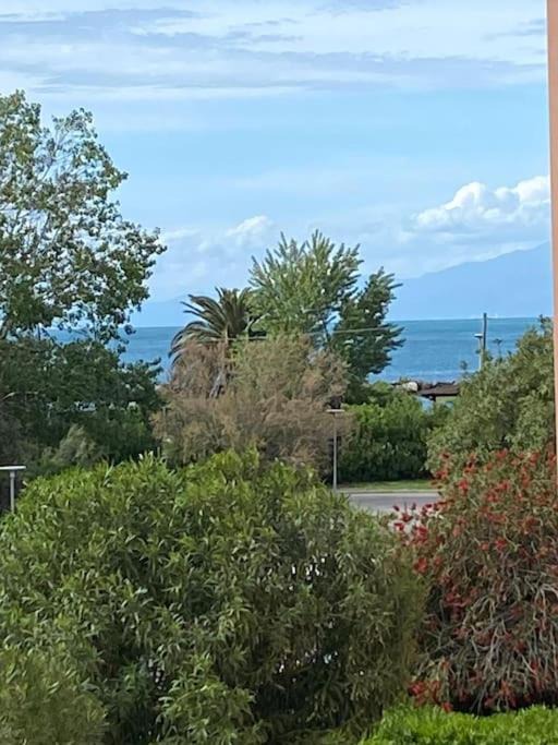Photo of Outdoor in Marina di Pisa