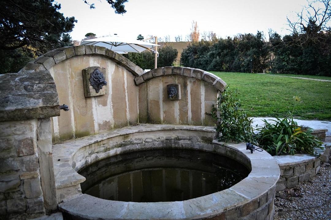 Photo of Others in Serra San Quirico