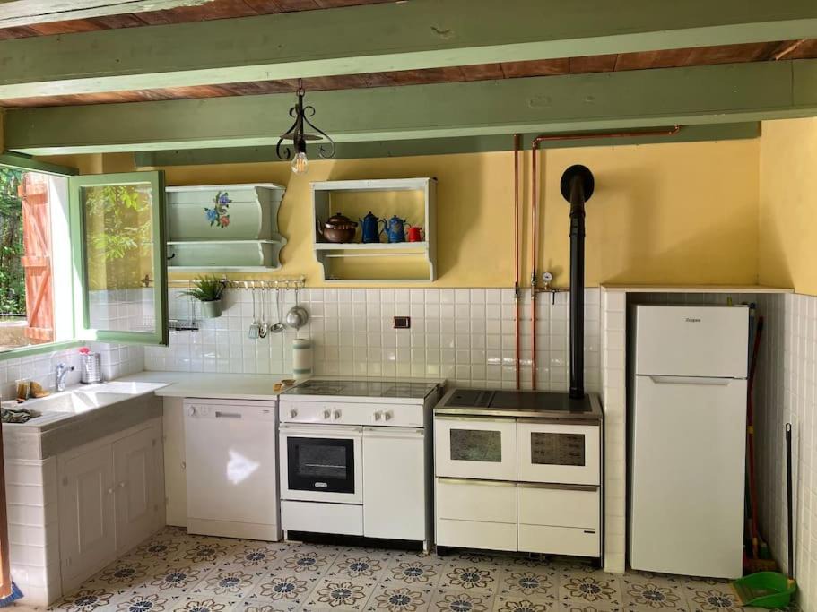 Photo of Kitchen in Saturnana