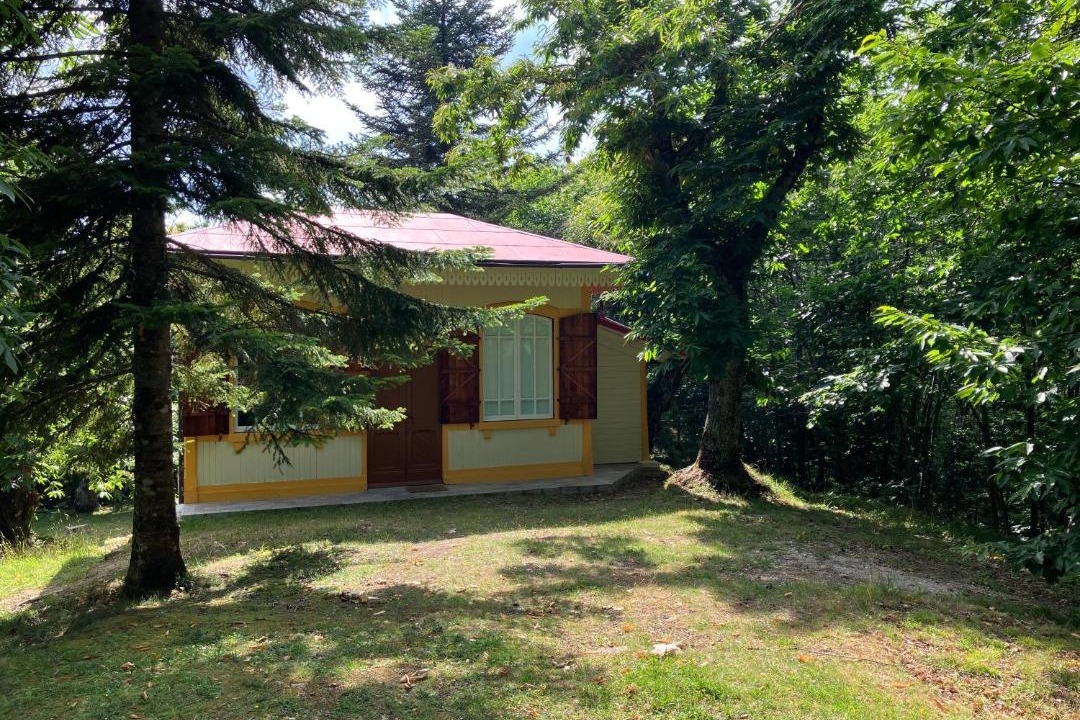 Photo of Buildings in Saturnana