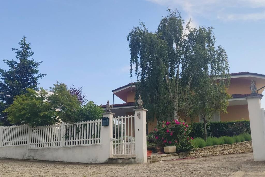 Photo of Buildings in Serravalle Langhe