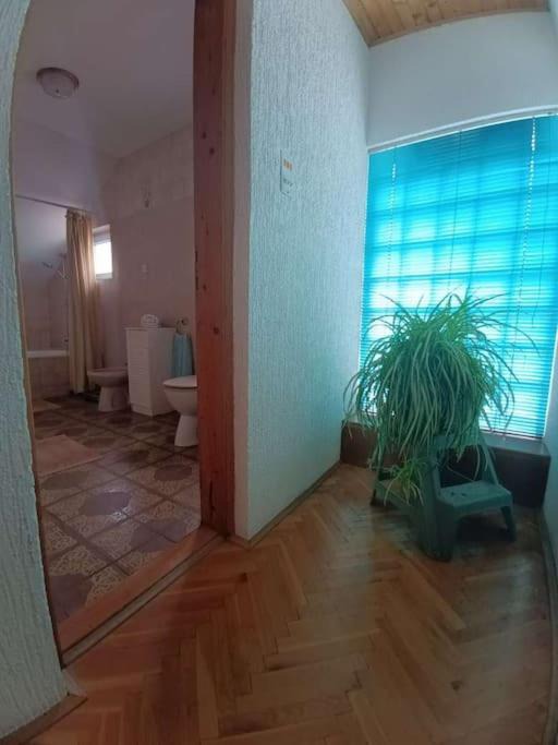 Photo of Others in Sremski Karlovci