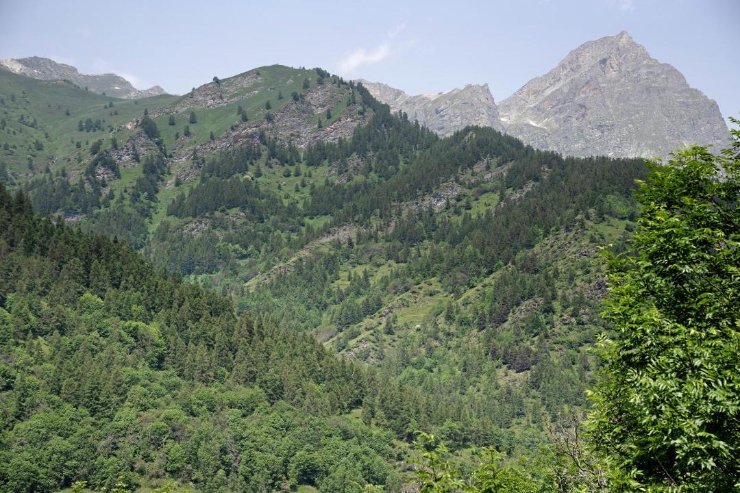 Photo of Outdoor in San Michele Prazzo