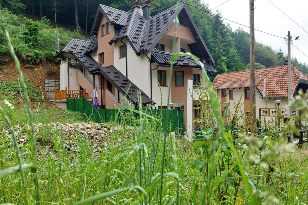 Photo of Others in Kopaonik