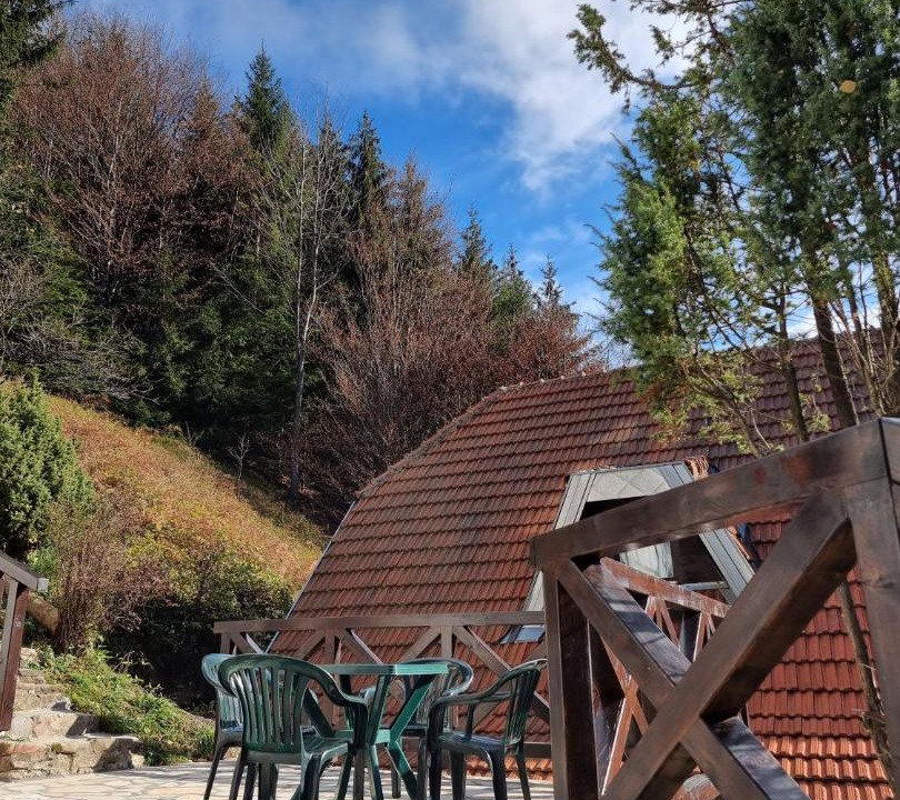 Photo of Others in Kopaonik