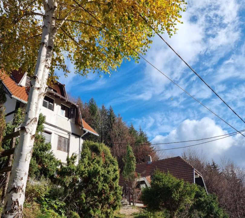 Photo of Outdoor in Kopaonik