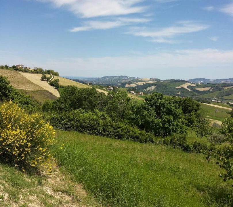 Photo of Others in Monte Rinaldo