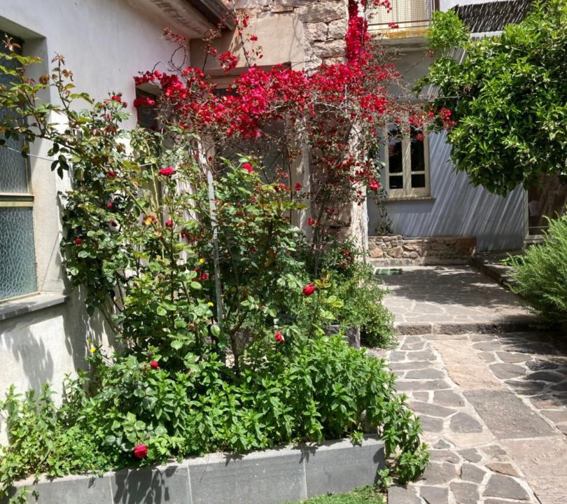 Photo of Buildings in Sardara
