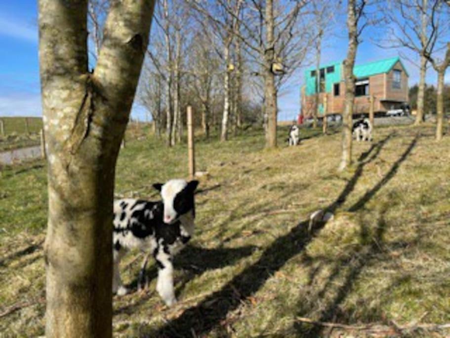 Photo of Others in Glenfarg