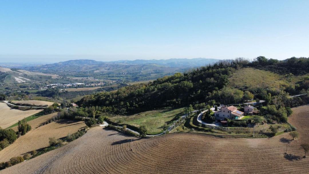Photo of Others in Urbino