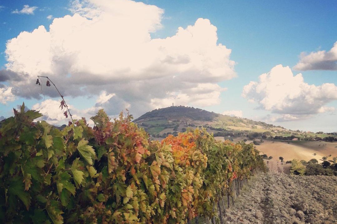 Photo of Others in San Severino Marche