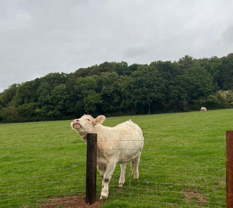 Photo of Others in Congresbury