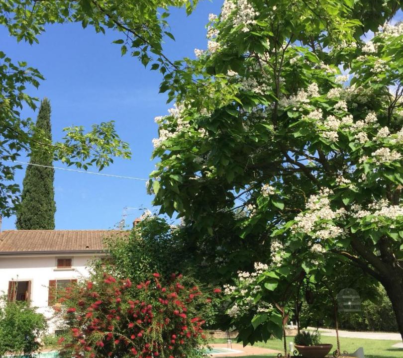 Photo of Others in Pieve al Bagnoro