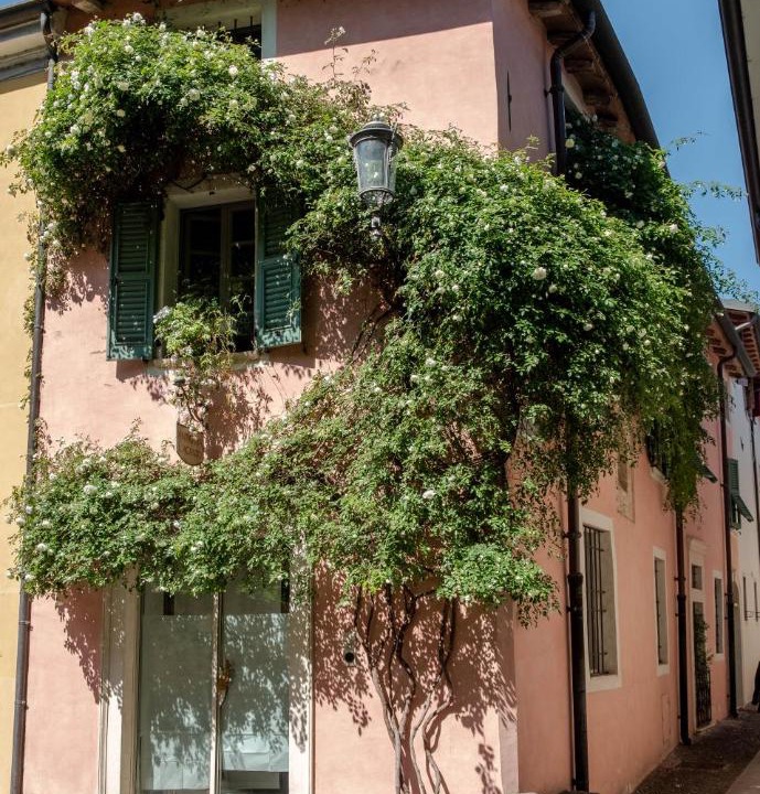 Photo of Buildings in Castel Goffredo