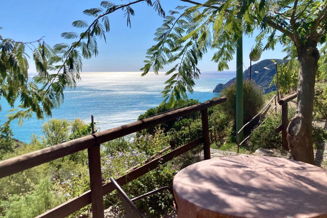 Photo of Others in Monterosso al Mare