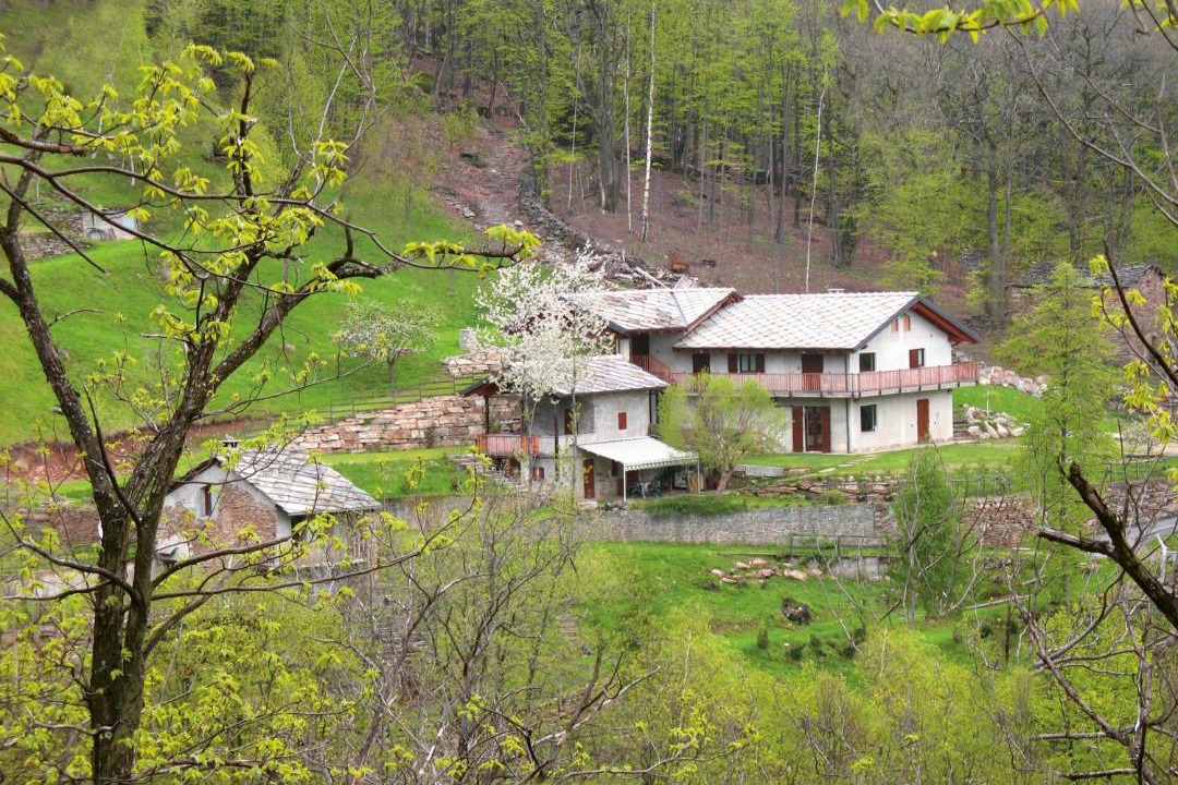 Photo of Others in Villar Pellice