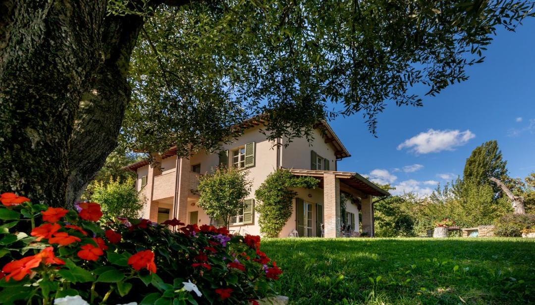 Photo of Buildings in Nerbisci