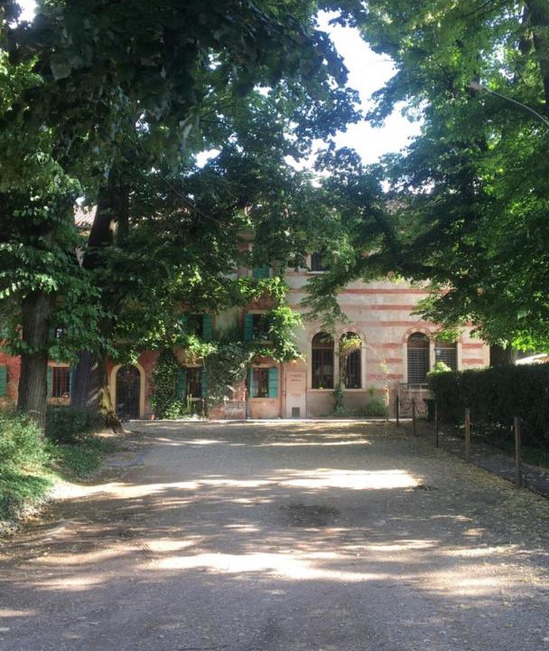 Photo of Others in Sorga