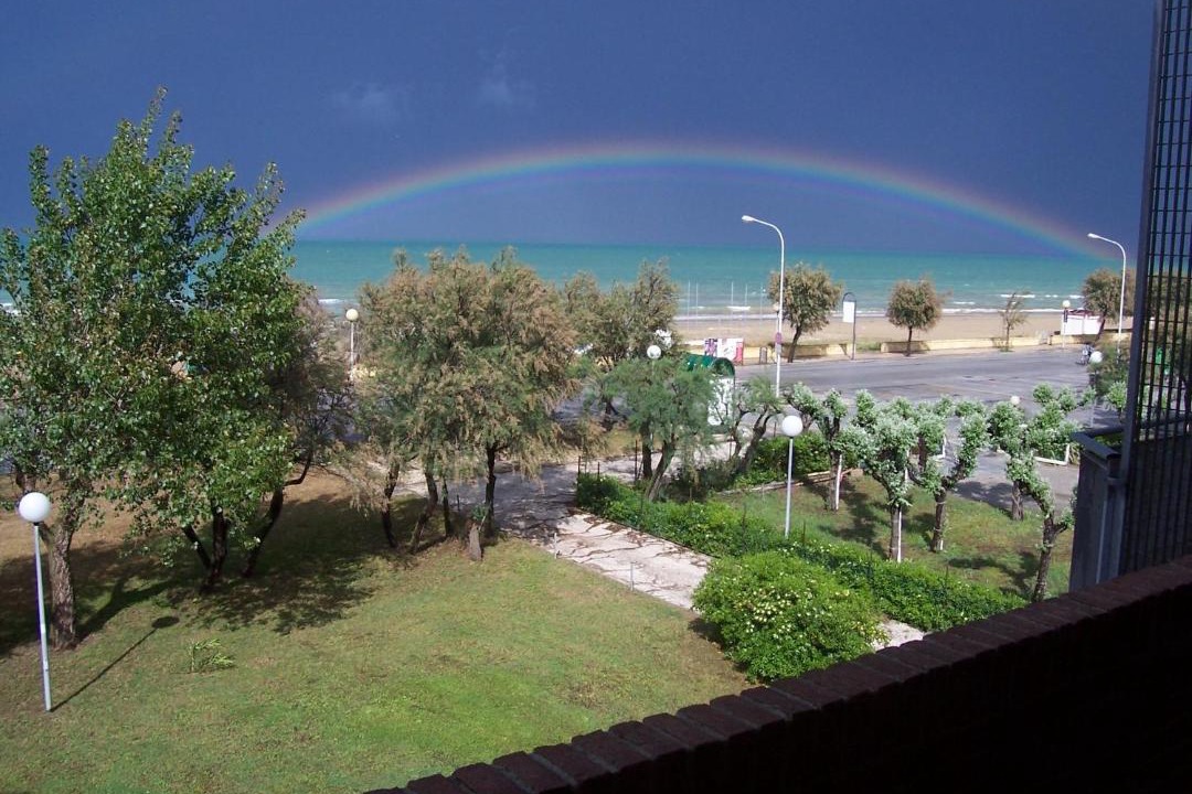 Photo of Others in Senigallia