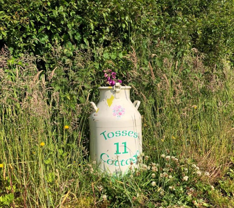 Photo of Outdoor in Silverbridge