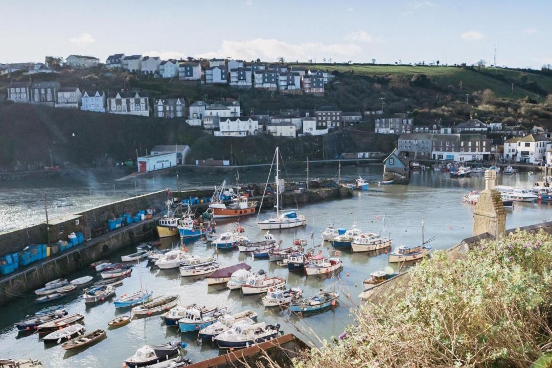 Photo of Others in Mevagissey