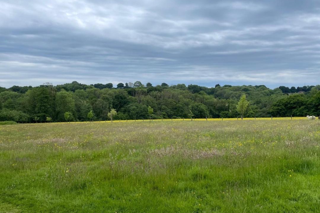 Photo of Outdoor in Mayfield