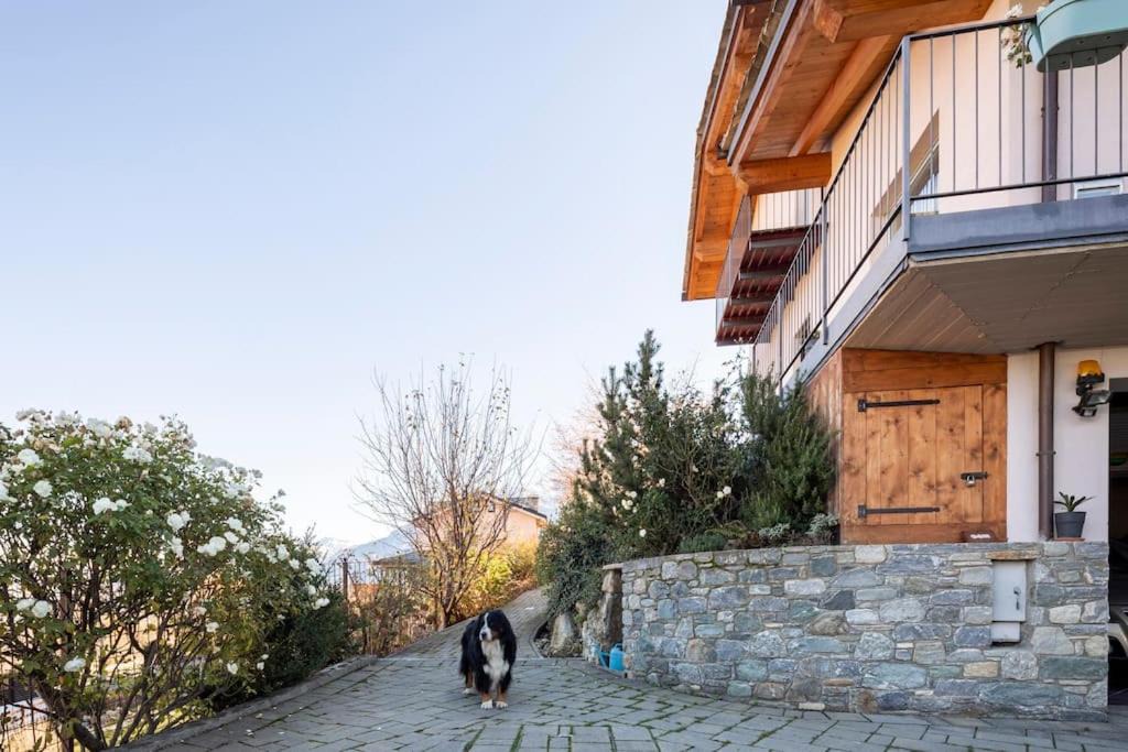 Photo of Others in Aosta