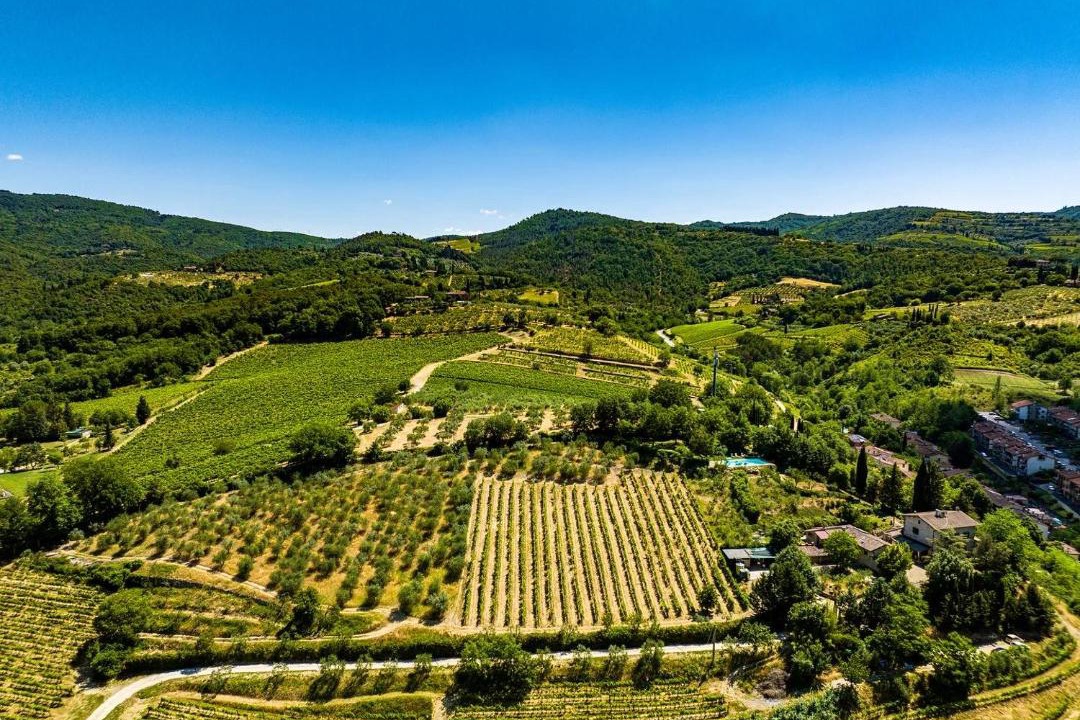 Photo of Others in Greve in Chianti