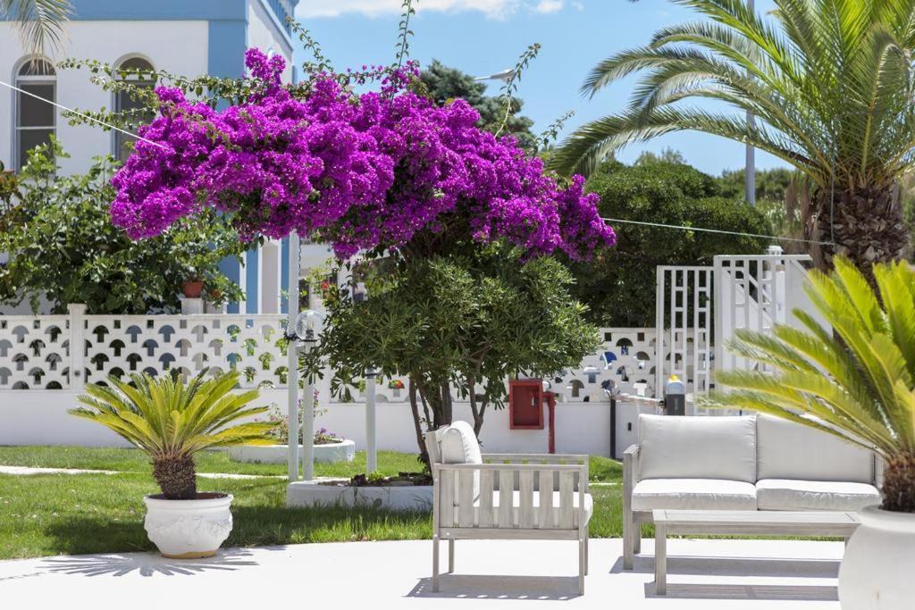 Photo of Patio Balcony in Marina di Pulsano