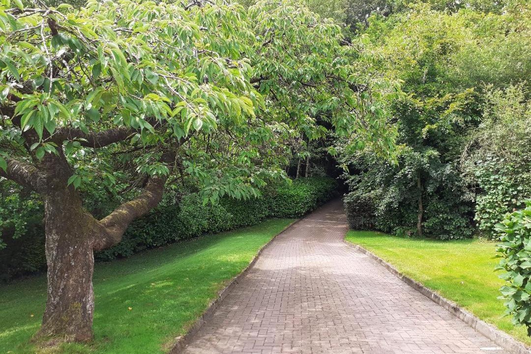 Photo of Outdoor in Dungannon