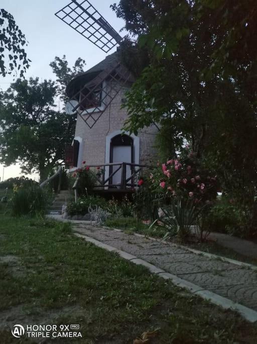 Photo of Buildings in Becej