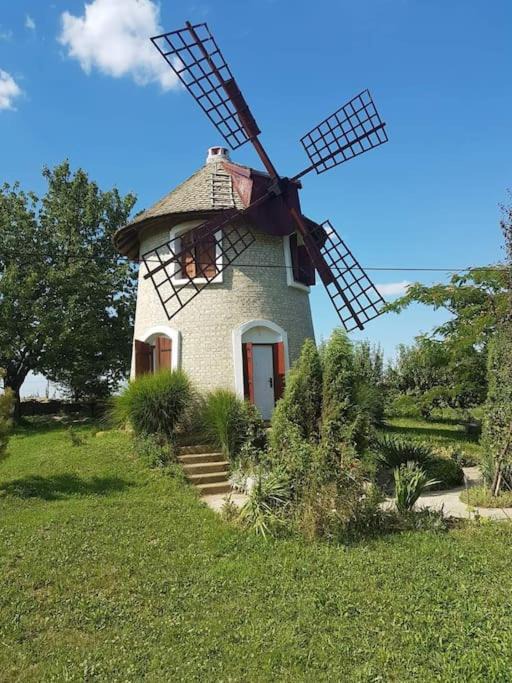 Photo of Buildings in Becej