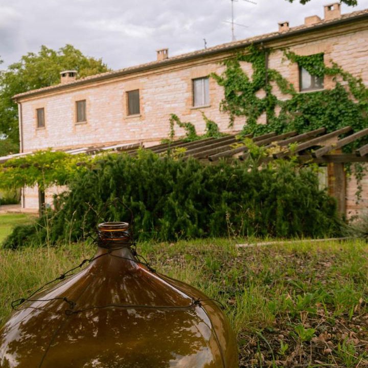 Photo of Buildings in Isola del Piano